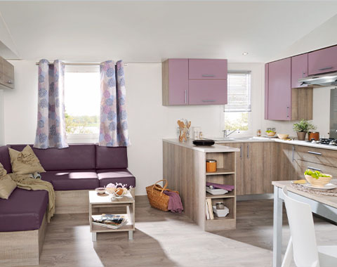 Achat Mobil Home occasion Super Sélenia